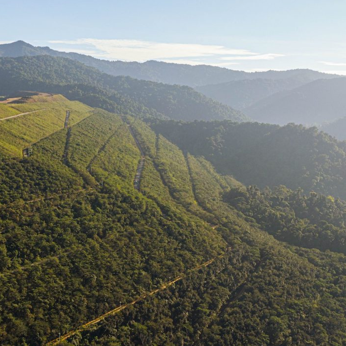 AMMAN’s reclamation program is conducted concurrently with its mining operations