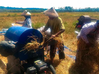 From West Sumbawa to Singapore: Ary's Journey from Farm Laborer to IT Expert