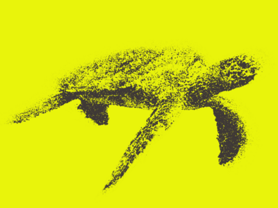 AMMAN Reports Q3/2023 Earnings Results - Bounced Back after the Challenging First Half of 2023